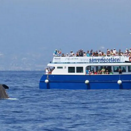 In Centro Citta, Nei Vicoli Del Borgo